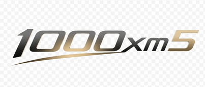 1000xm5